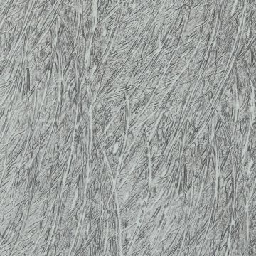 Feather Grey